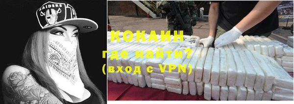 шишки Рославль
