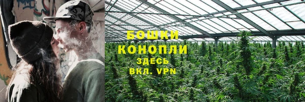 шишки Рославль